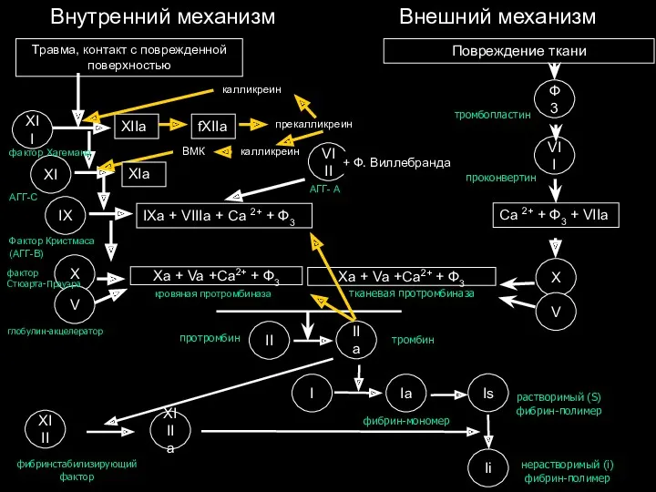 Внутренний механизм Внешний механизм