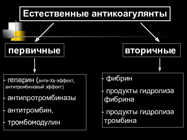 Естественные антикоагулянты первичные вторичные гепарин (анти-Ха-эффект, антитромбиновый эффект) антипротромбиназы антитромбин,