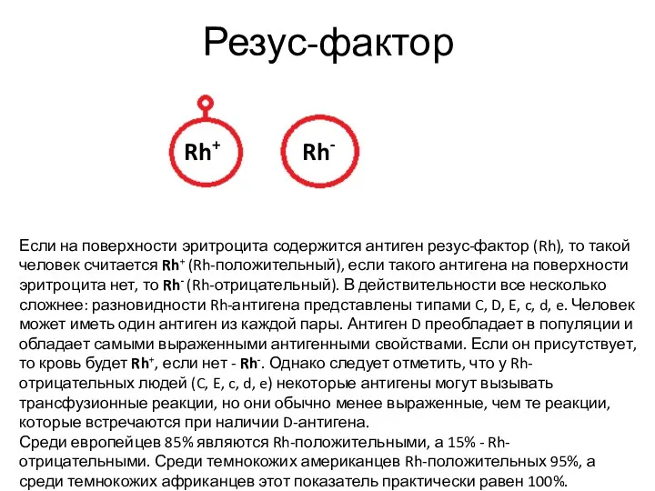 Резус-фактор Rh- Rh+ Если на поверхности эритроцита содержится антиген резус-фактор (Rh), то такой