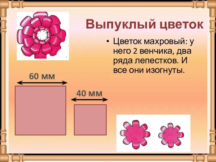 Выпуклый цветок Цветок махровый: у него 2 венчика, два ряда