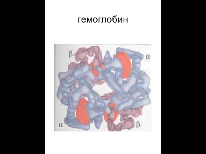 гемоглобин