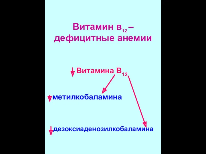 Витамина В12 метилкобаламина дезоксиаденозилкобаламина Витамин в12 –дефицитные анемии