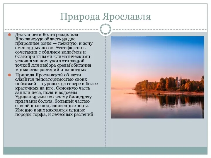 Природа Ярославля Дельта реки Волга разделила Ярославскую область на две