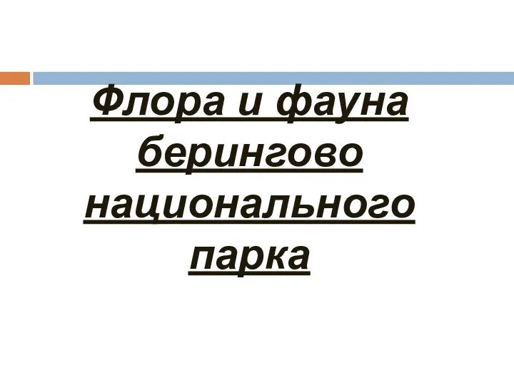 Флора и фауна берингово национального парка