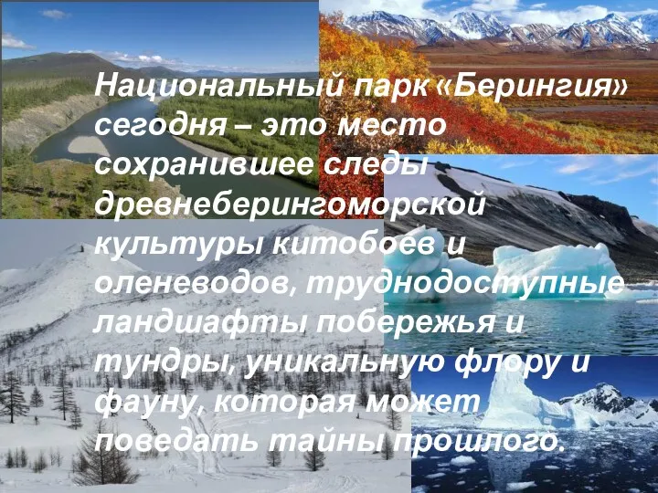 Национальный парк «Берингия» сегодня – это место сохранившее следы древнеберингоморской