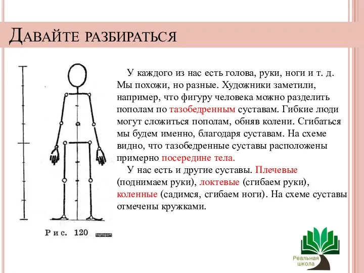 Давайте разбираться У каждого из нас есть голова, руки, ноги