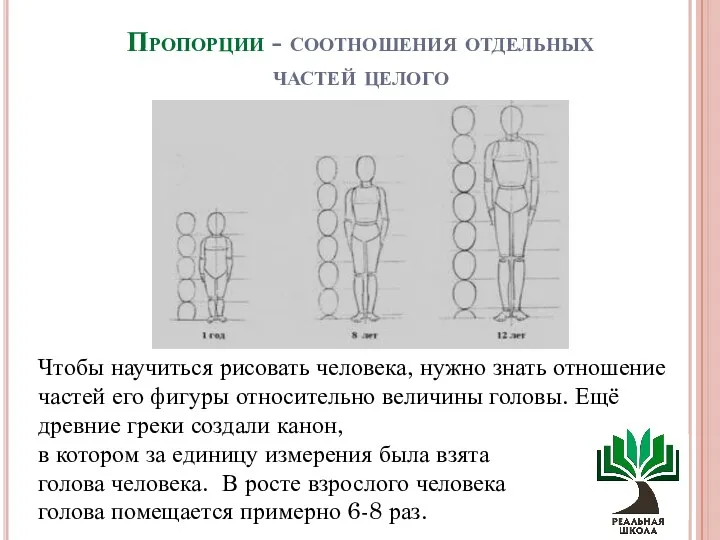 Пропорции - соотношения отдельных частей целого Чтобы научиться рисовать человека,