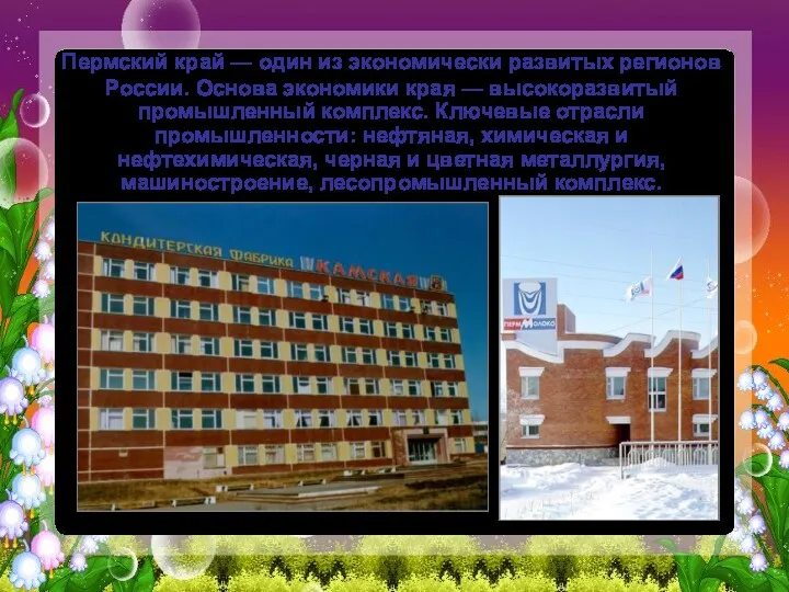 Пермский край — один из экономически развитых регионов России. Основа