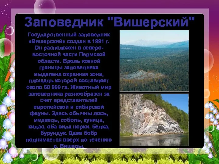 Заповедник "Вишерский" Государственный заповедник «Вишерский» создан в 1991 г. Он