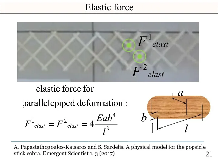 Elastic force A. Papastathopoulos-Katsaros and S. Sardelis. A physical model