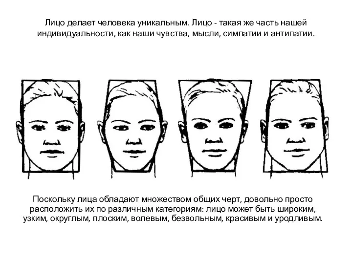 Поскольку лица обладают множеством общих черт, довольно просто расположить их