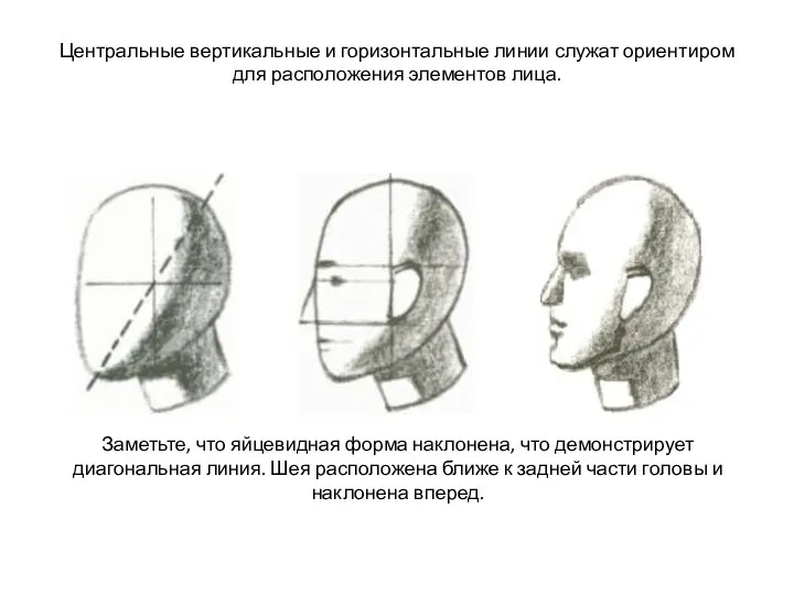 Центральные вертикальные и горизонтальные линии служат ориентиром для расположения элементов