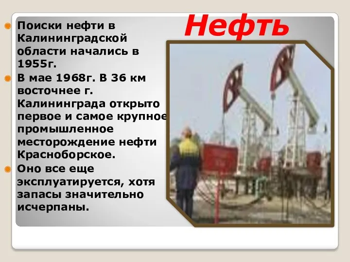 Нефть Поиски нефти в Калининградской области начались в 1955г. В