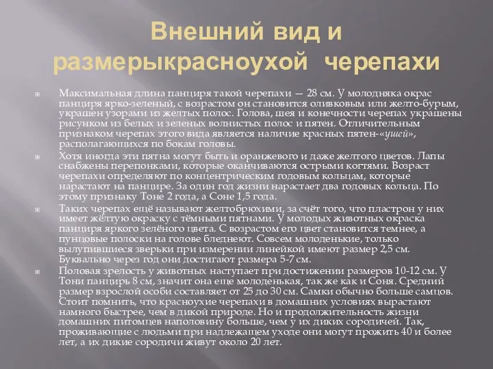 Внешний вид и размерыкрасноухой черепахи Максимальная длина панциря такой черепахи