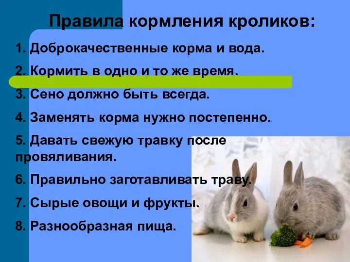 Правила кормления кроликов: 1. Доброкачественные корма и вода. 2. Кормить