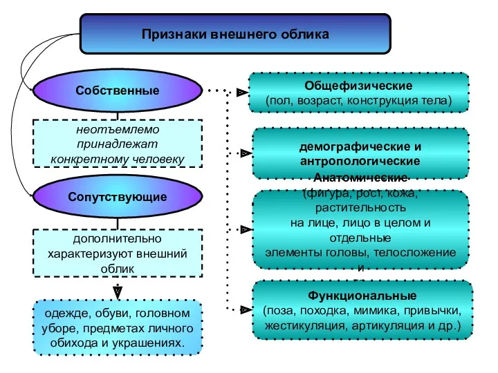 Признаки внешнего облика Собственные Сопутствующие неотъемлемо принадлежат конкретному человеку дополнительно