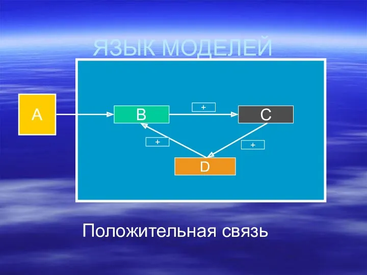 ЯЗЫК МОДЕЛЕЙ Положительная связь А Б В D С A + + +