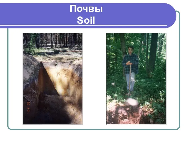 Почвы Soil