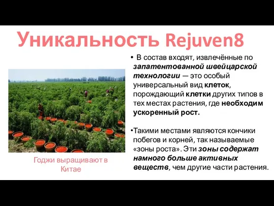 В состав входят, извлечённые по запатентованной швейцарской технологии — это