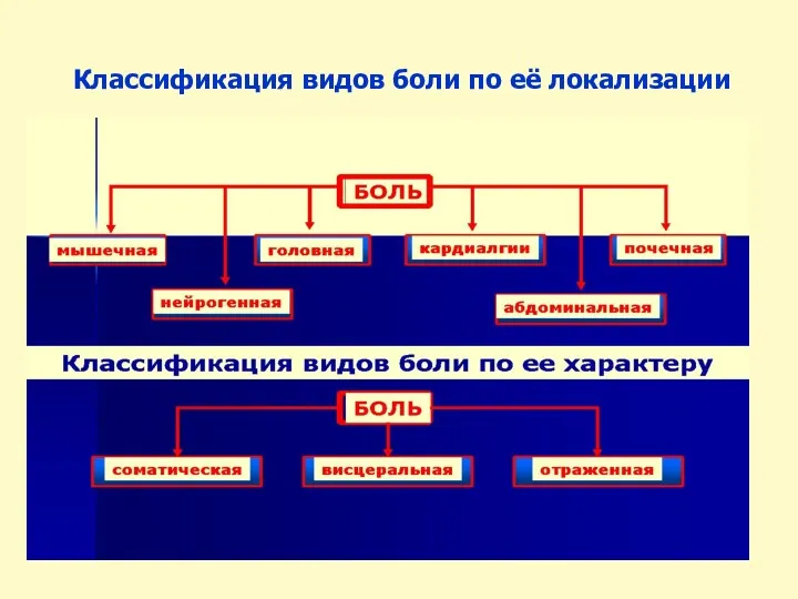 Классификация видов боли по её локализации