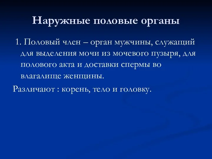 Наружные половые органы 1. Половый член – орган мужчины, служащий