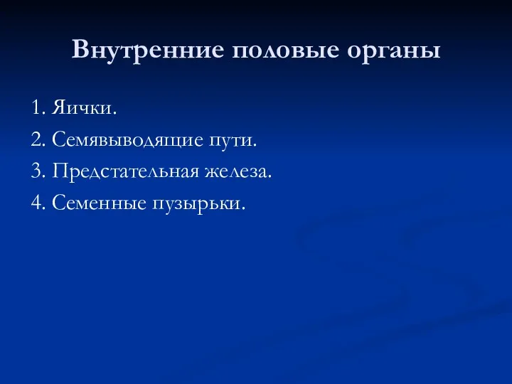 Внутренние половые органы 1. Яички. 2. Семявыводящие пути. 3. Предстательная железа. 4. Семенные пузырьки.