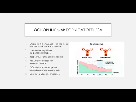 ОСНОВНЫЕ ФАКТОРЫ ПАТОГЕНЕЗА Старение гипоталамуса – снижение его чувствительности к