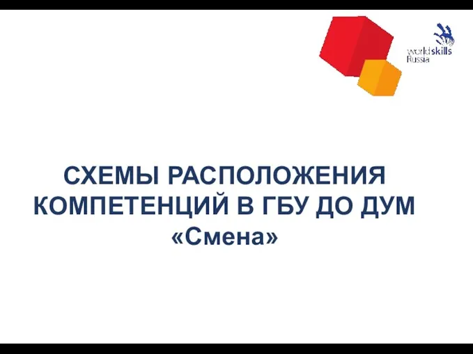 СХЕМЫ РАСПОЛОЖЕНИЯ КОМПЕТЕНЦИЙ В ГБУ ДО ДУМ «Смена»