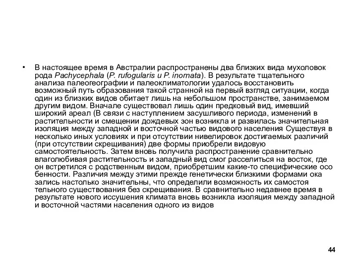 В настоящее время в Австралии распространены два близ­ких вида мухоловок