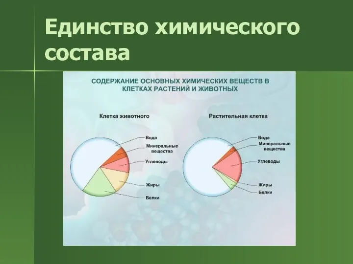 Единство химического состава