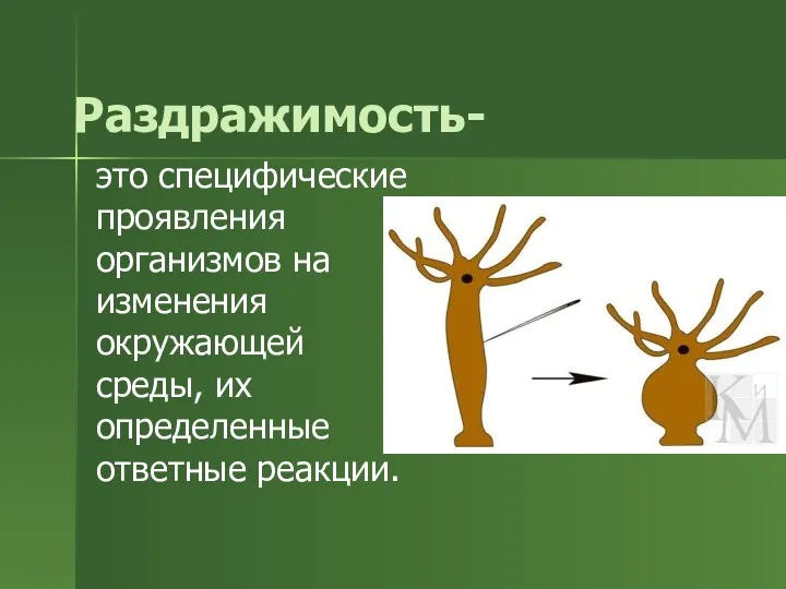 Раздражимость- это специфические проявления организмов на изменения окружающей среды, их определенные ответные реакции.