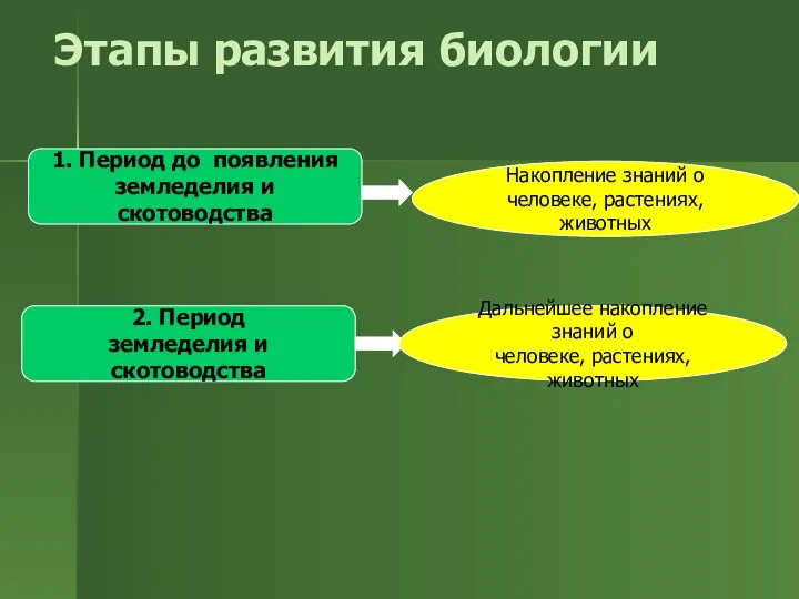 Этапы развития биологии 1. Период до появления земледелия и скотоводства