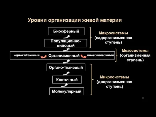 Организменный Уровни организации живой материи Молекулярный