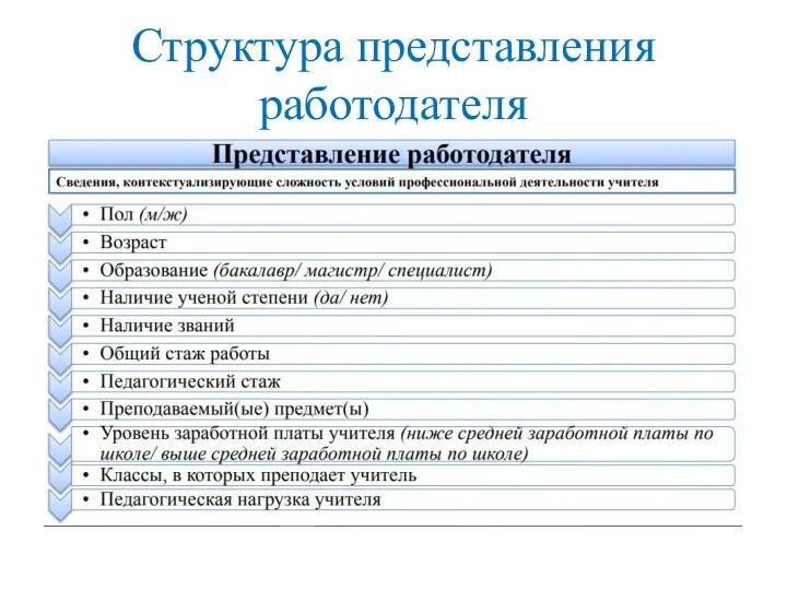 Структура представления работодателя