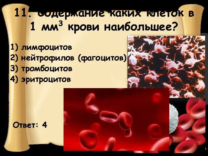 11. Содержание каких клеток в 1 мм3 крови наибольшее? Ответ: 4