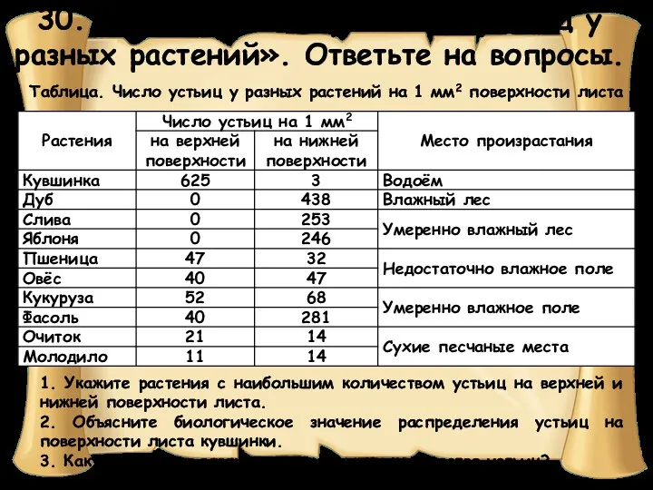 30. Изучите таблицу «Число устьиц у разных растений». Ответьте на