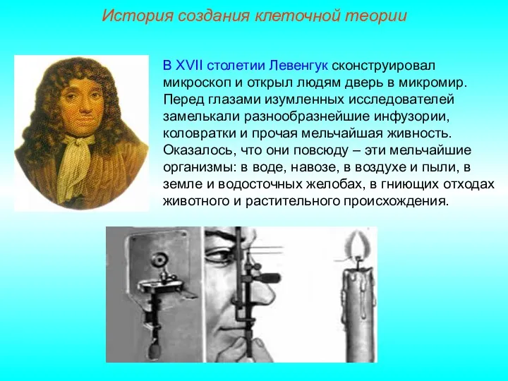 В XVII столетии Левенгук сконструировал микроскоп и открыл людям дверь в микромир. Перед