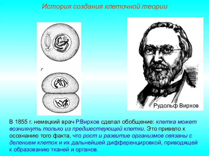 Рудольф Вирхов В 1855 г. немецкий врач Р.Вирхов сделал обобщение: клетка может возникнуть