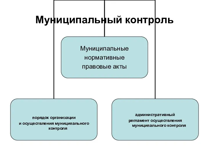 Муниципальный контроль