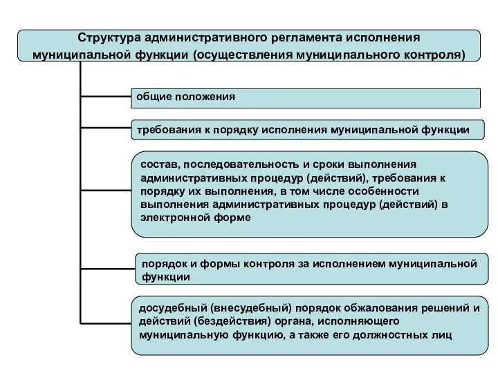 Структура административного регламента исполнения муниципальной функции (осуществления муниципального контроля) общие