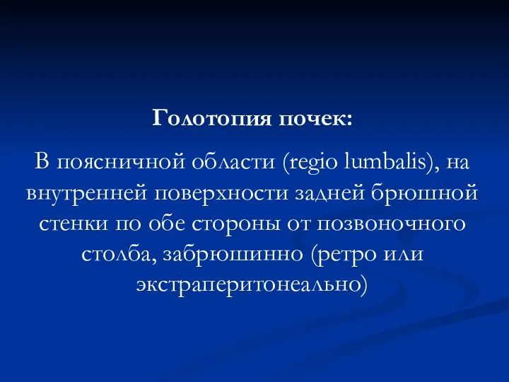 Голотопия почек: В поясничной области (regio lumbalis), на внутренней поверхности