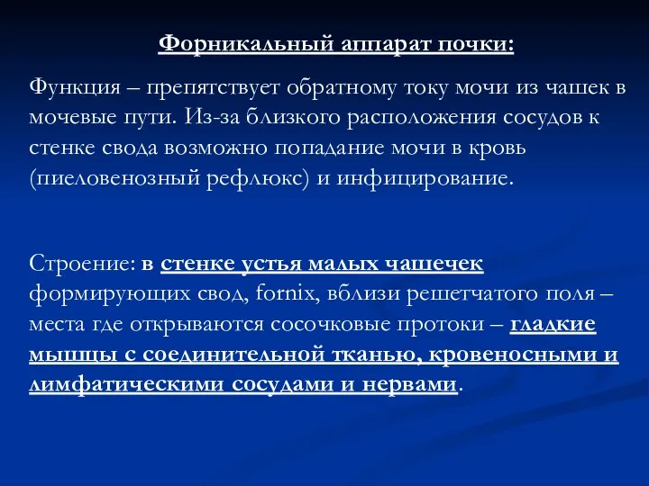 Форникальный аппарат почки: Функция – препятствует обратному току мочи из