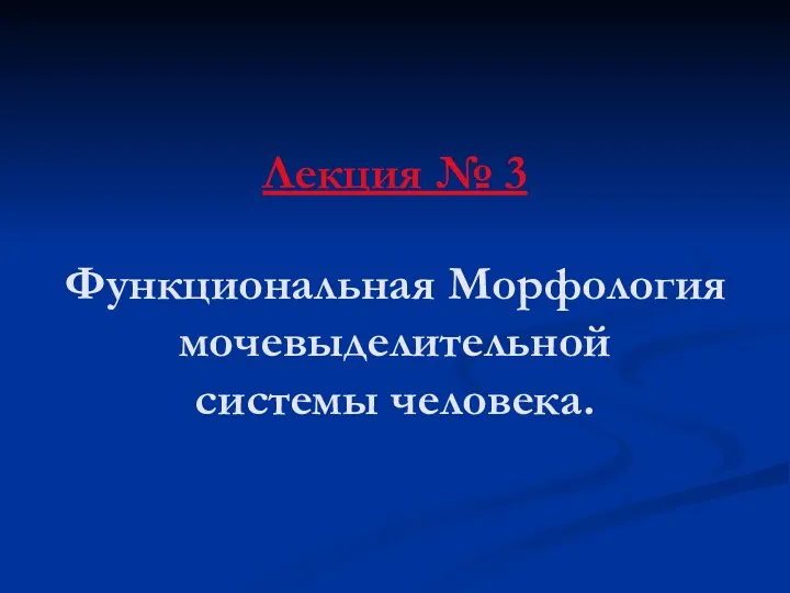 Лекция № 3 Функциональная Морфология мочевыделительной системы человека.