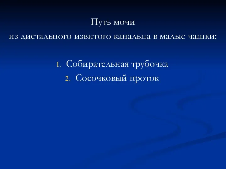 Путь мочи из дистального извитого канальца в малые чашки: Собирательная трубочка Сосочковый проток