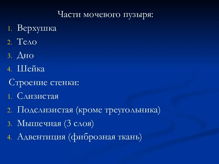 Части мочевого пузыря: Верхушка Тело Дно Шейка Строение стенки: Слизистая