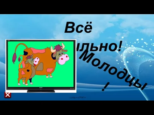 Всё правильно! Молодцы!