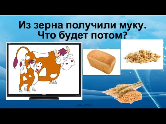 Из зерна получили муку. Что будет потом?