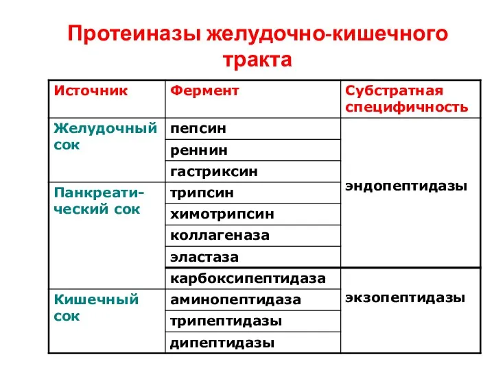 Протеиназы желудочно-кишечного тракта