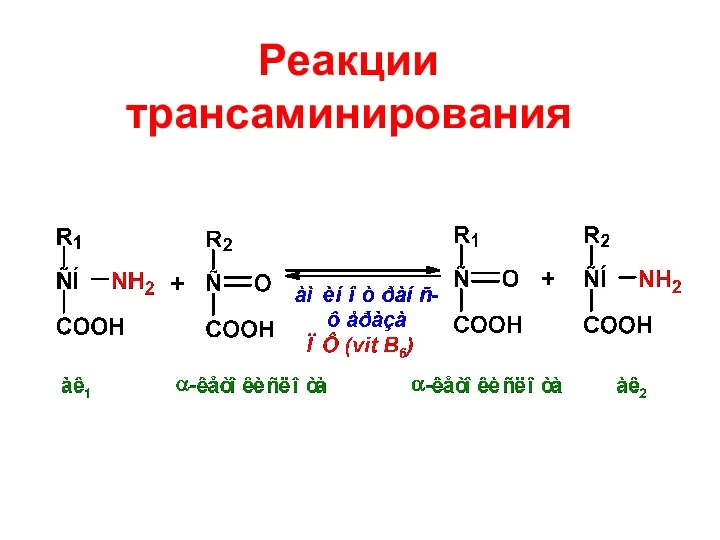 Реакции трансаминирования