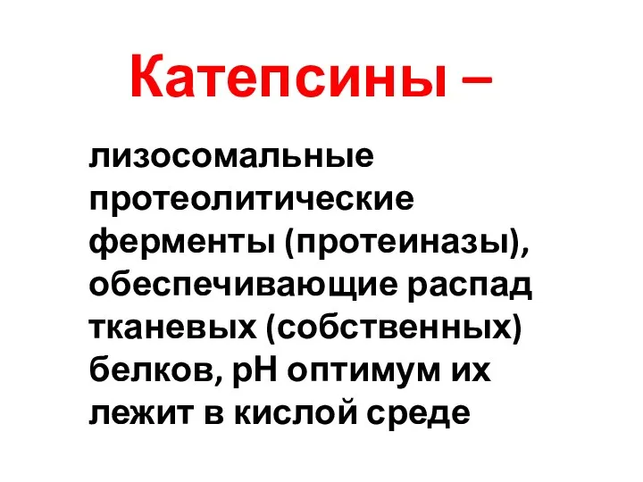 Катепсины – лизосомальные протеолитические ферменты (протеиназы), обеспечивающие распад тканевых (собственных) белков, рН оптимум